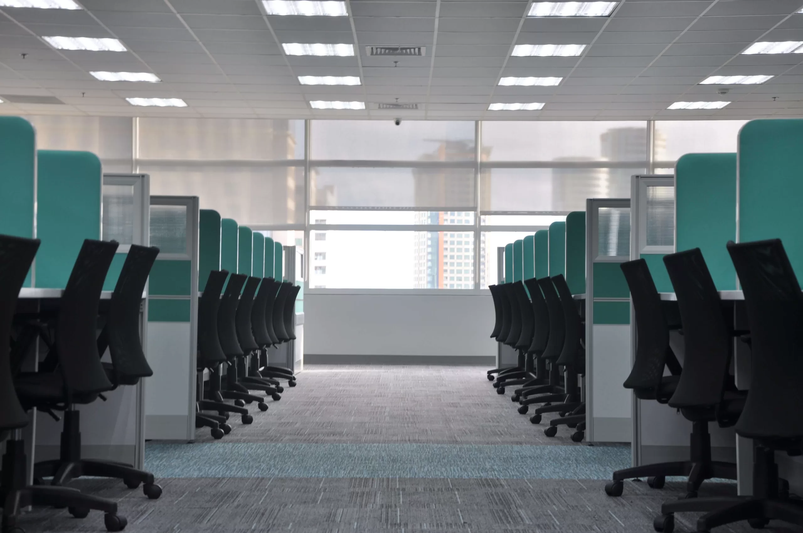 Here’s How You Can Incorporate Law Of Attraction In The Workplace