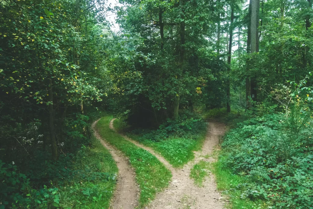 Angelic Signs That You Are On The Right Path!