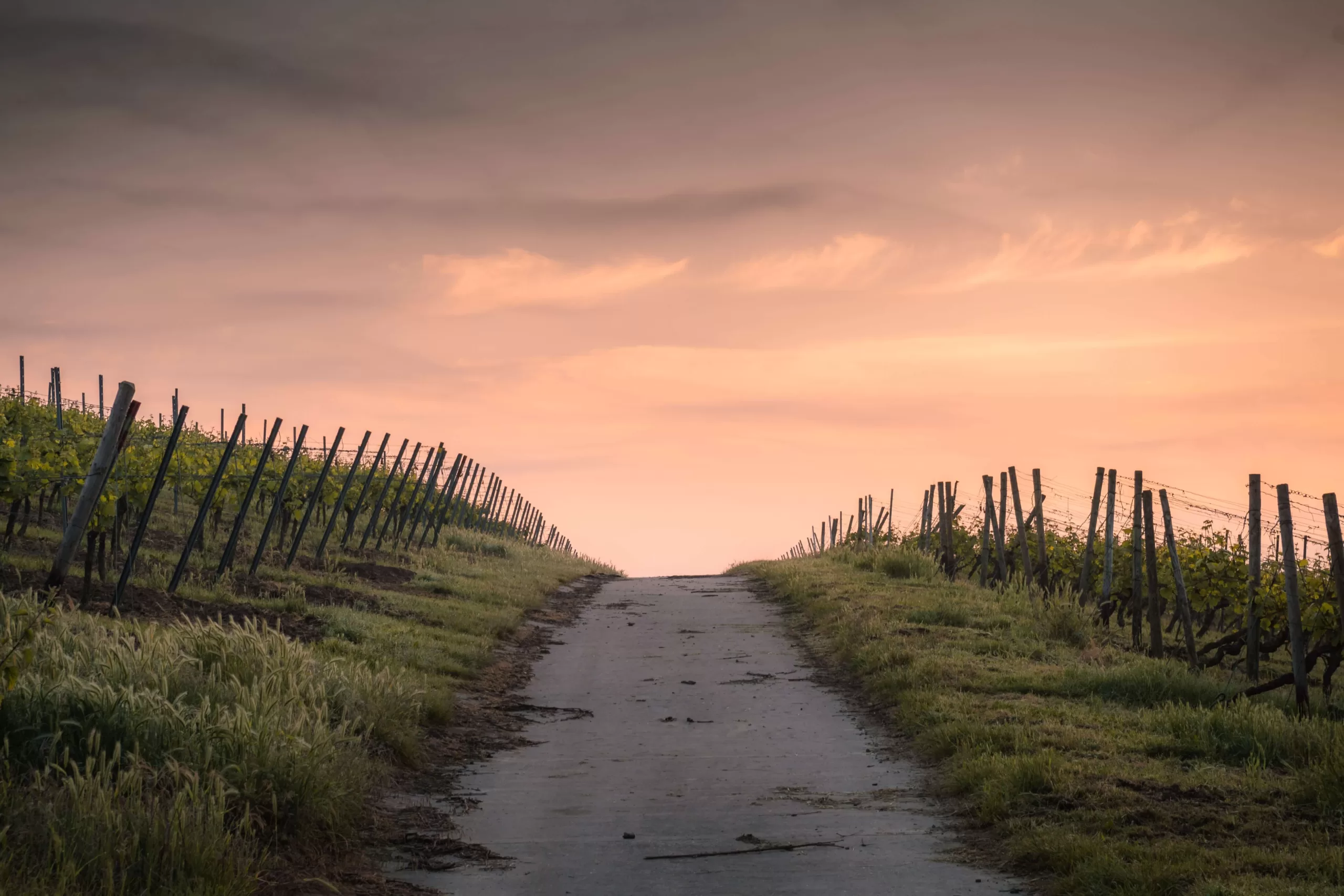 In Case You’re Wondering About Your Life Purpose, Read This