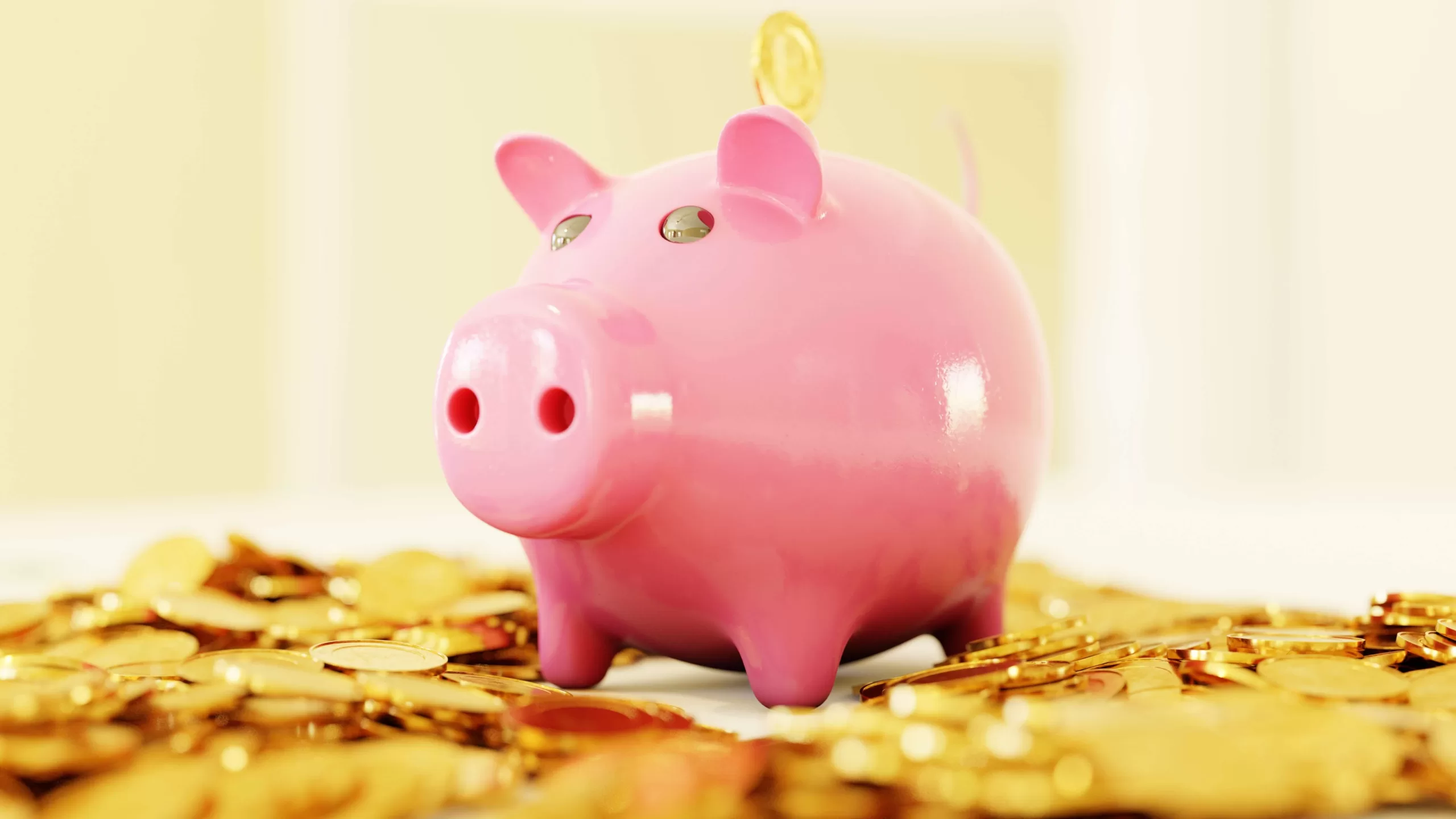 The Intersection of Wealth and Wisdom Exploring the Relationship between Financial Abundance and Personal Wisdom, and How They Can Mutually Enhance Each Other